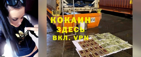 крисы Алзамай