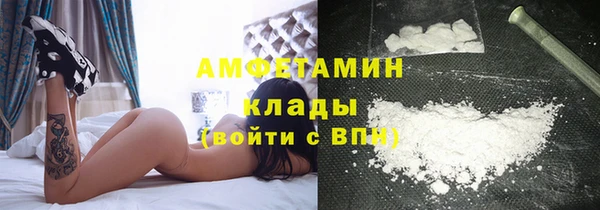 крисы Алзамай