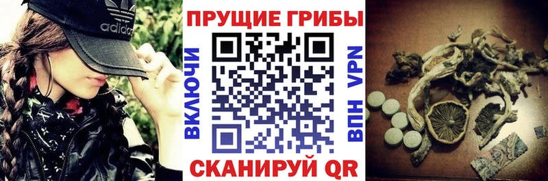 Галлюциногенные грибы Magic Shrooms Алушта