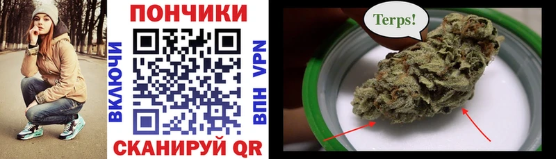 Каннабис ГИДРОПОН  Алушта 
